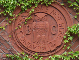 owl of minerva bohemian grove