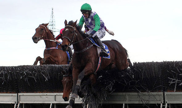 Grand National cruel